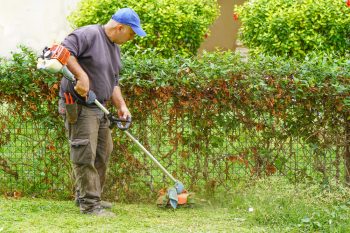 What to do if My Neighbor is Dumping Brush on My Property in NJ