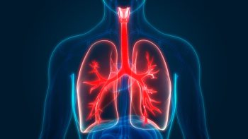 Workers' Comp Lawyers Helping Obtain Compensation for Respiratory Diseases in Freehold, NJ