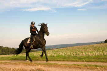 Horseback Riding Accident Lawsuits in New Jersey