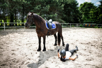 Equine Injury Lawyers Suing for Injuries in Middletown NJ