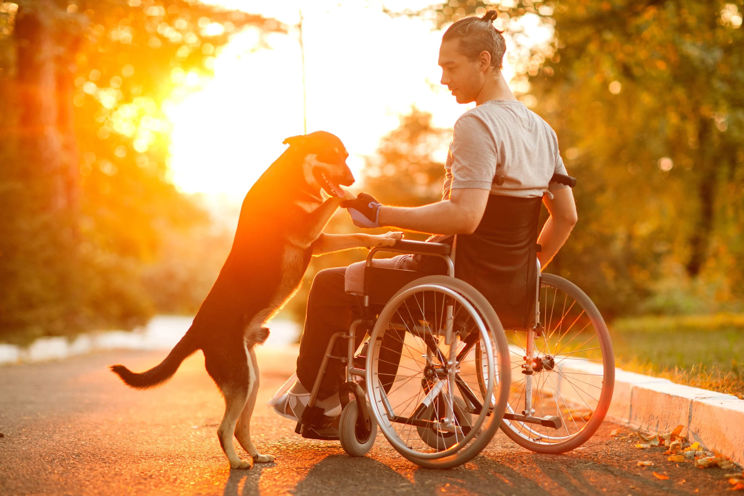 A man sits in a wheelchair as a dog says hello